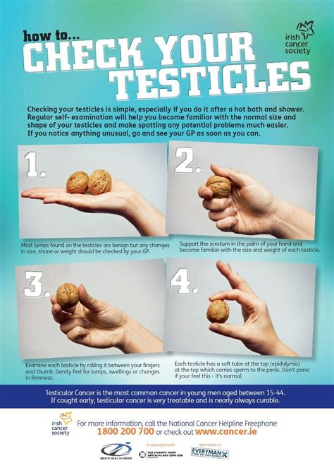 how to tell if your testicle is normal